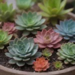 Integrating Succulents into Mixed Material Container Designs