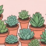 The Watering Schedule Myth: Set Your Succulent Care Straight