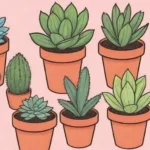 Step-by-Step Guide to Setting Up Your Own Succulent Swap