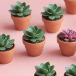 DIY Succulent Candle Holders for a Stylish Ambiance