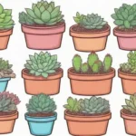 The Do's and Don'ts of Propagating Succulents in Bulk