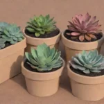 How to Insulate Your Succulent Containers During Winter