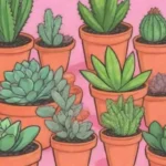 A Beginner's Journey into Succulent Pruning Techniques