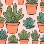 Facebook Marketplace: Where to Find Unique Succulents Online