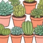 Crafting a Succulent Garden: Design, Care, and Maintenance