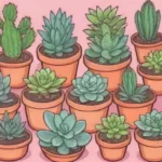 Top 10 Propagation Methods for Your Favorite Succulent Species