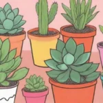 Sustainable Practices in the World of Succulent Subscriptions