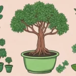 Jade Plant: Ancient Remedies and Modern Applications Explained