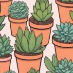 Top Five Succulent Subscription Services to Try This Year