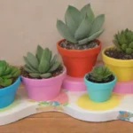 How to Make an Upcycled Succulent Planter from Old Toys