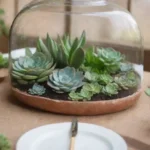 Succulent Terrariums as Unique Wedding Centerpieces