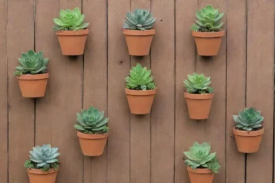 The wallpaper showcases vibrant green succulents in vertical planters against a rustic wooden backdrop